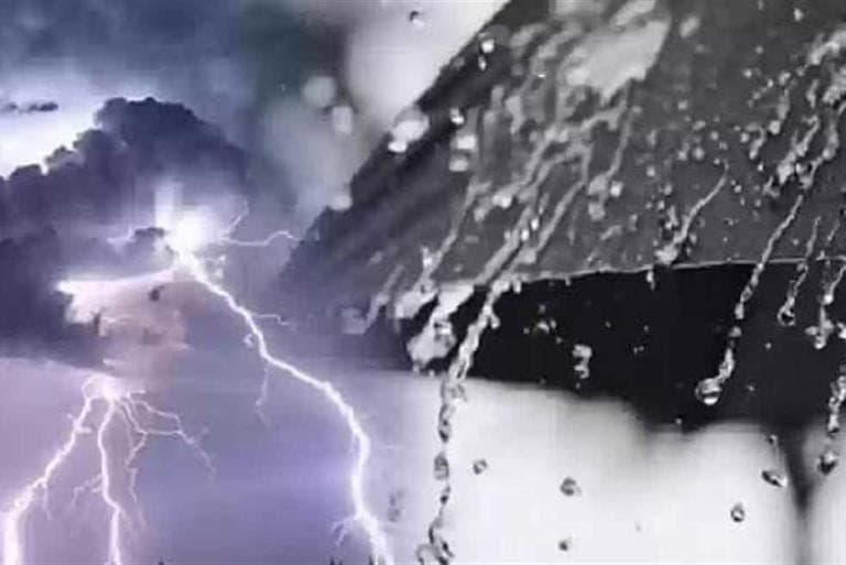 مقالة أهمية القانون فى الدولة 1