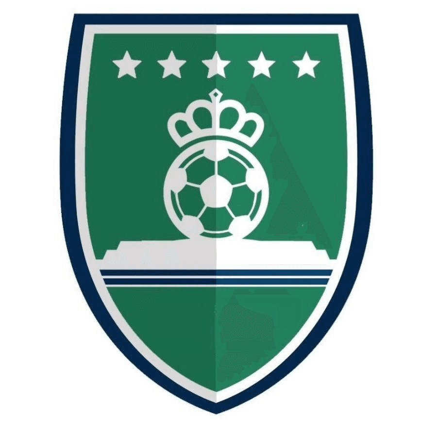 الإستشارات القانونية